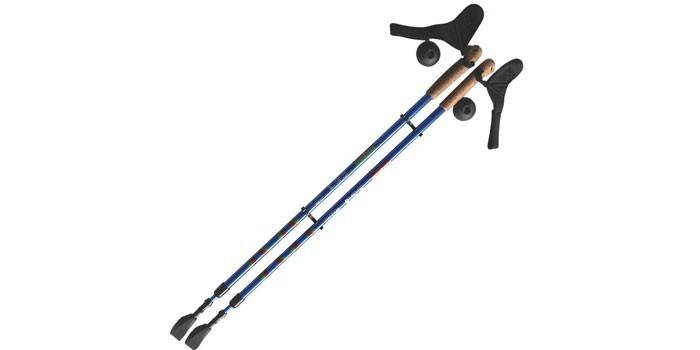 Ergoforce E 0673 do nordic walking