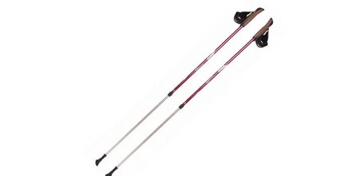 Kije Tramp Fitness TRR-011
