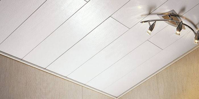 Plastový stropný strop strieborný dekostar luxusný