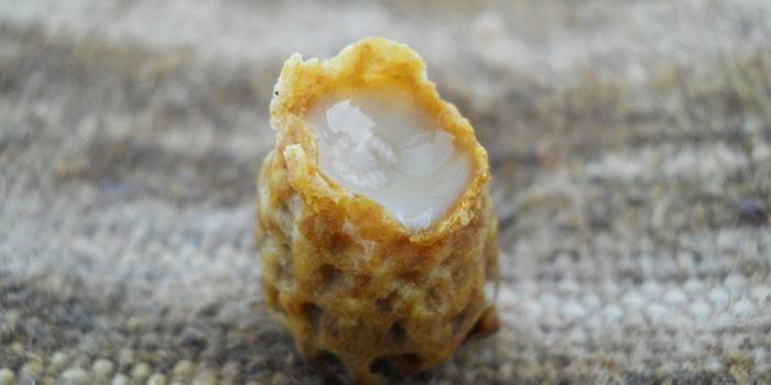 Jalea Real en cera de abejas
