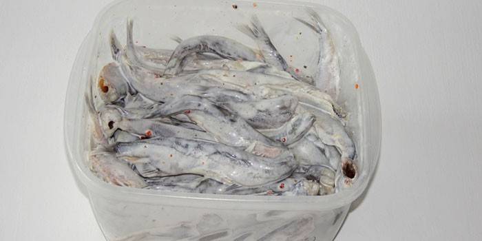 Capelán en escabeche con mayonesa
