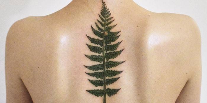 Fern tetovanie