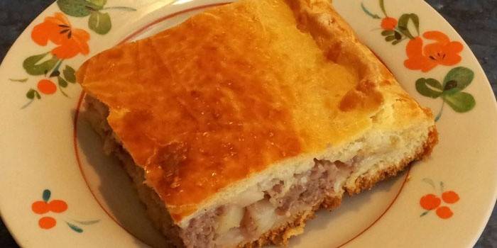 Rebanada de pastel de gelatina con carne picada y papas