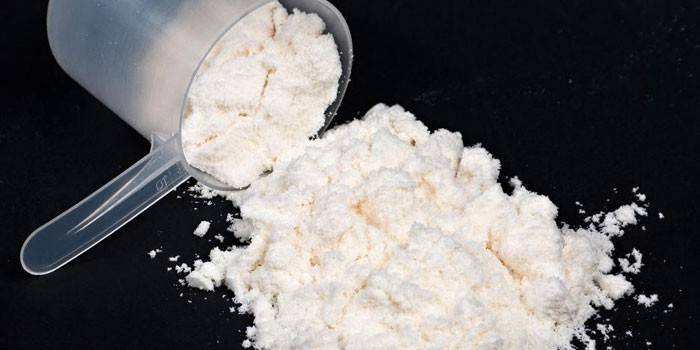 Proteína en polvo en una cuchara dosificadora