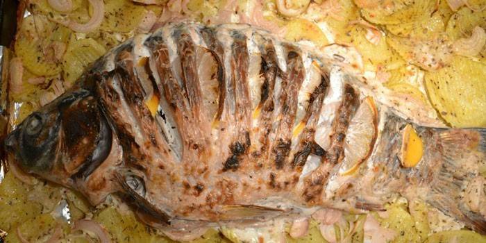 Pescado en crema agria con papas
