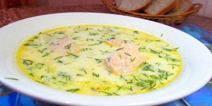 Sopa de creme de truta