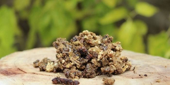 Propolis na liečbu prostatitídy