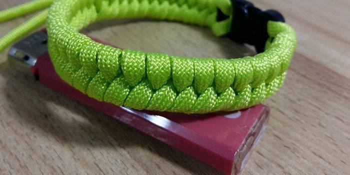 Wąż Paracord