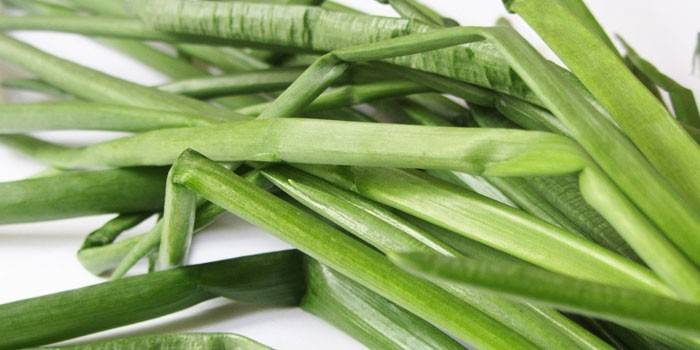 Vegetal verde