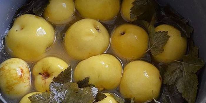Barril com maçãs embebidas