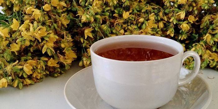 Caldo Hypericum