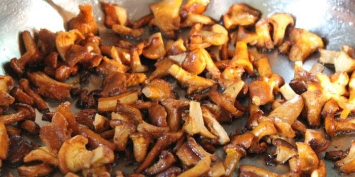 Chanterelles fritos em uma panela