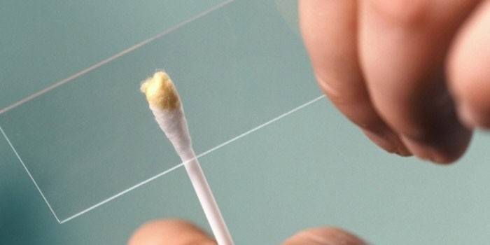Cotonete de algodão e vidro de laboratório