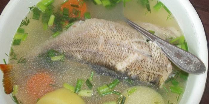 Zander y perca pescado en un plato