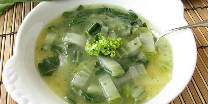 Sopa de tallo de apio