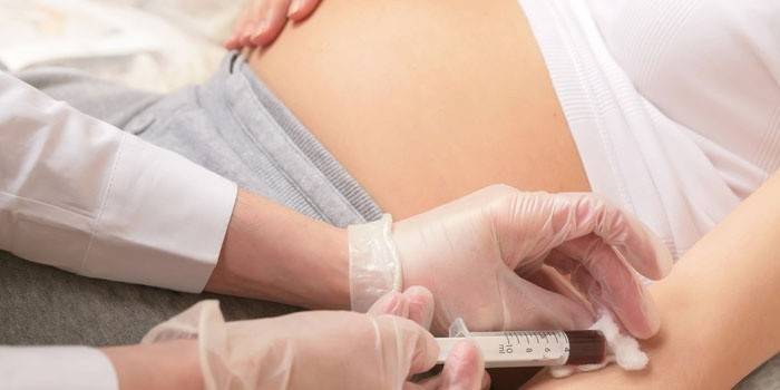 Mulher grávida dá sangue para análise.