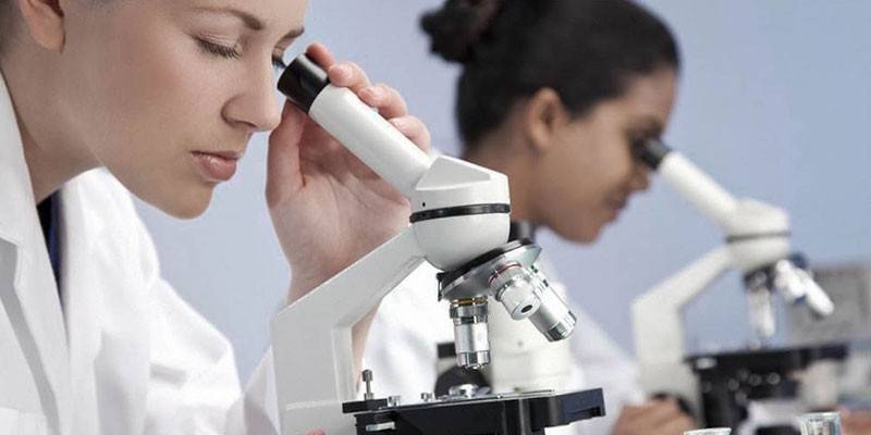 Asystenci laboratoryjni patrzą przez mikroskop
