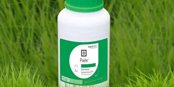 Fungicide Rai w banku