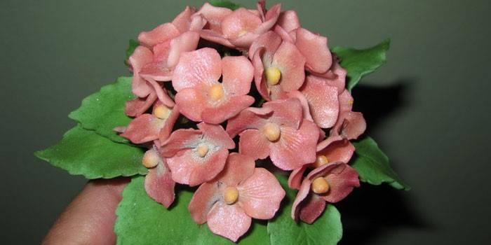 Hortênsia