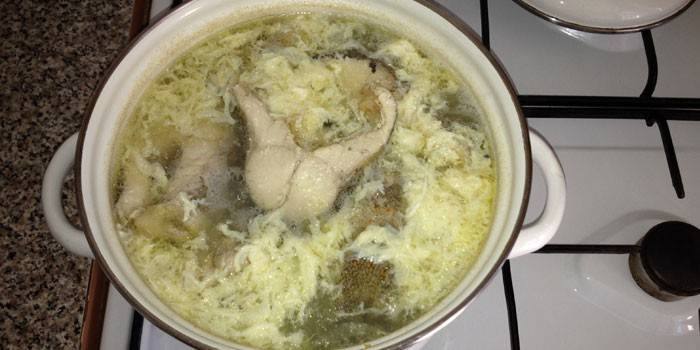 Caldo de peixe