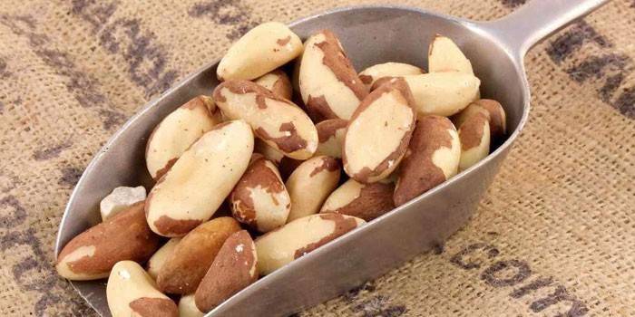 Nueces de Brasil en una cuchara de metal