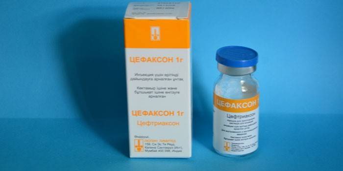 Cefaxone em uma garrafa e garrafa