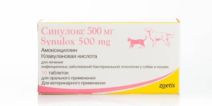 Sinulox psy tabletki w opakowaniu