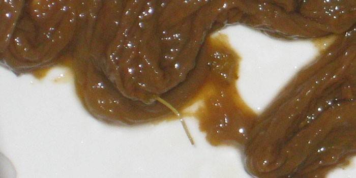 Pinworms nas fezes