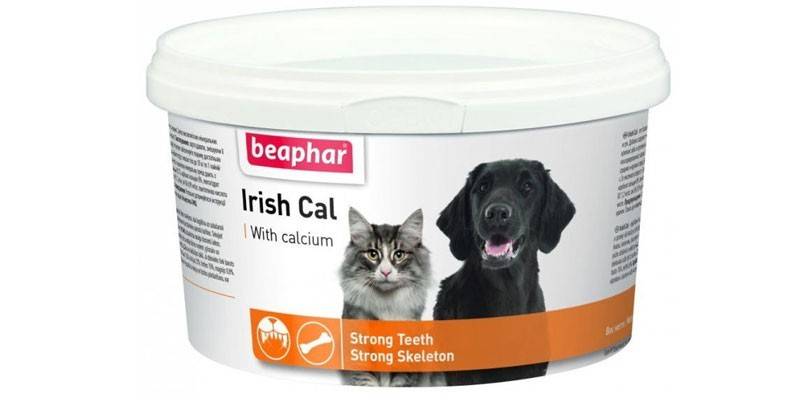 Irish Cal autorstwa Beaphara