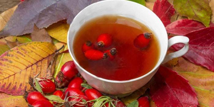 Rosół z dzikiej róży w filiżance