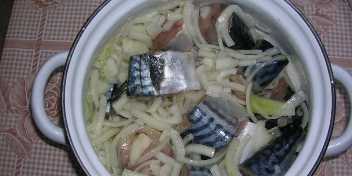 Caballa en rodajas con cebolla en una sartén