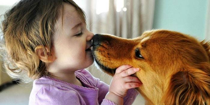 Criança e cachorro