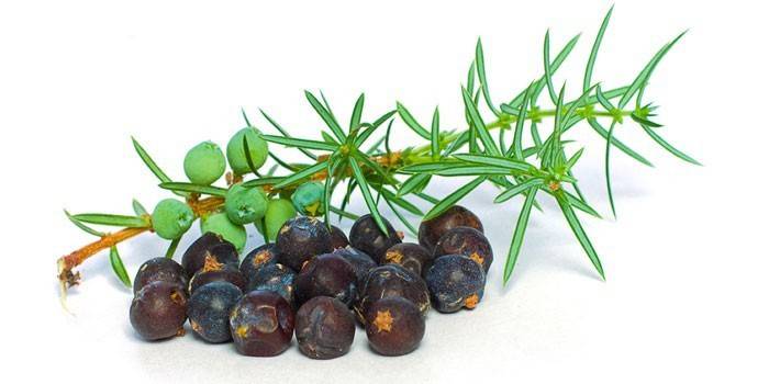 Fruta de enebro