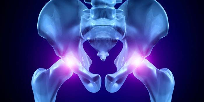 La disposición de las articulaciones de la pelvis.