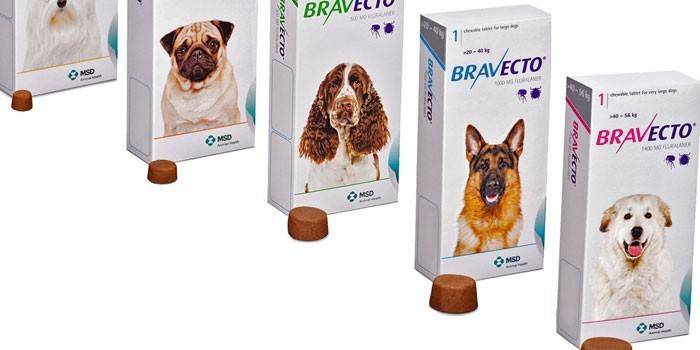 Žuvacie tablety Bravecto