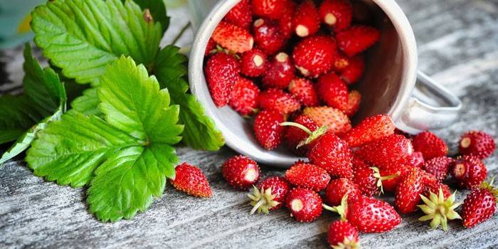 Morangos para infusão