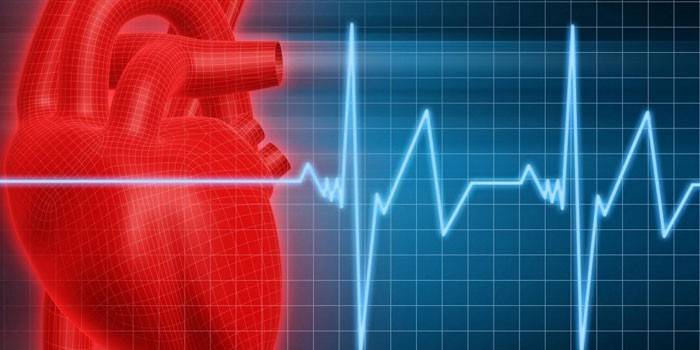 Coração e eletrocardiograma