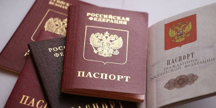 Passaportes dos cidadãos da Federação Russa