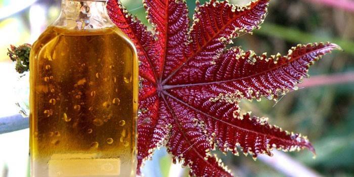 Aceite de ricino en una botella
