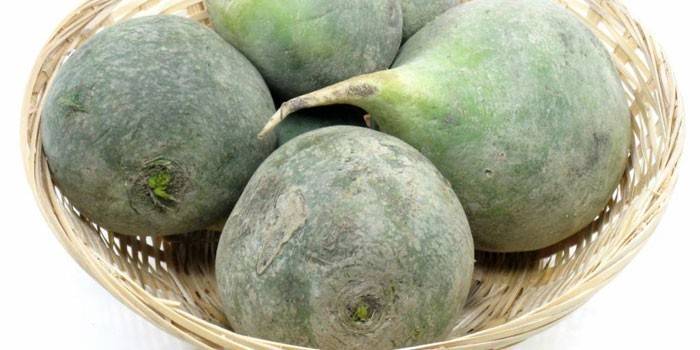 Vegetal de raiz verde