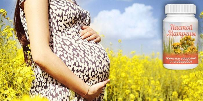 Mujer embarazada en un campo e infusión matryona en un frasco