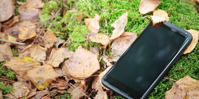 Smartphone na grama