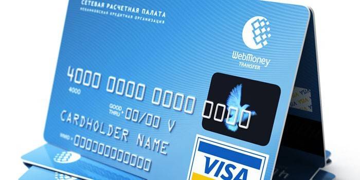 Plastikowa karta VISA