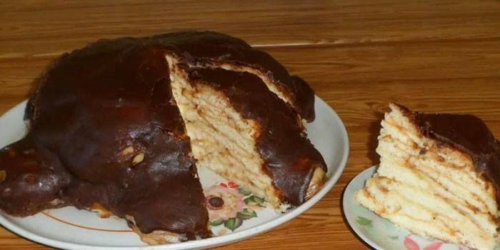 Tartaruga de chocolate