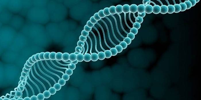 Molécula de DNA