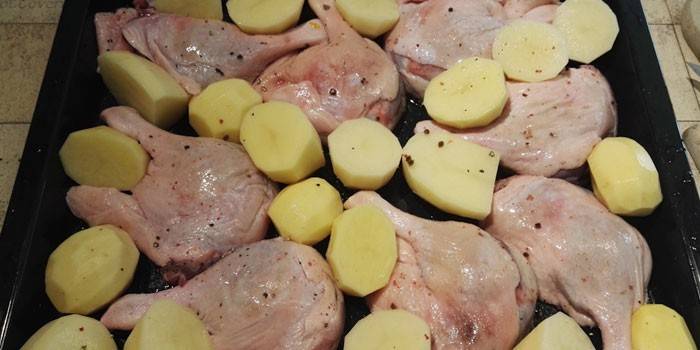 Pernas de pato com batatas em uma assadeira antes de assar