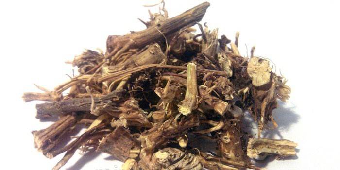 Raiz de urtiga seca