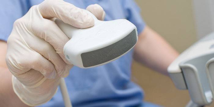 Transductor de una máquina de ultrasonido en la mano del médico.