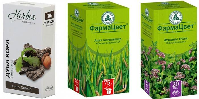 Kora dębu, korzeń tataraku i oregano