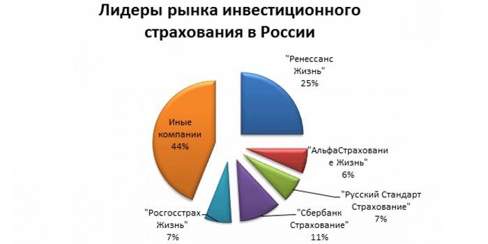 Liderzy ubezpieczeń inwestycyjnych w Rosji